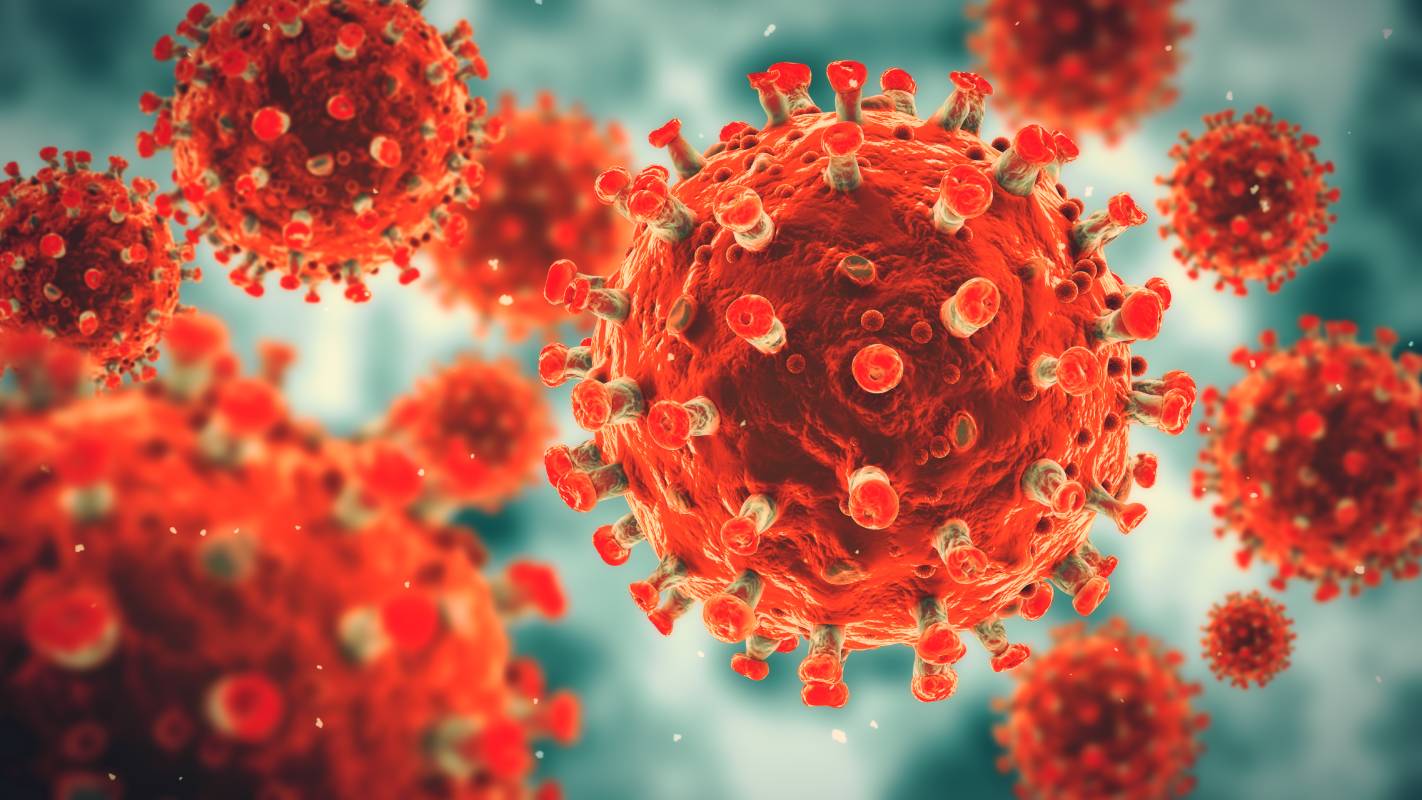 Autoimmune Reaction With COVID-19